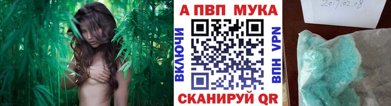 Купить закладки  Тайшет  Alpha PVP кристаллы 