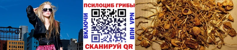 Купить закладки Тайшет Галлюциногенные грибы мухоморы