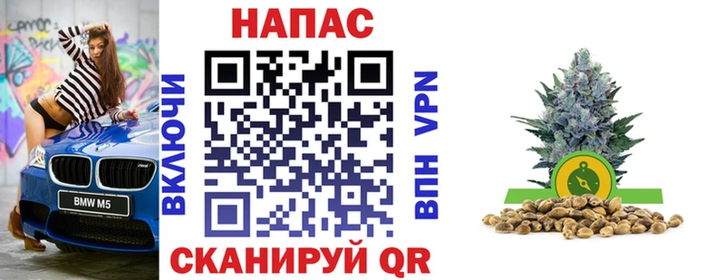 Конопля план  Купить где  Тайшет 